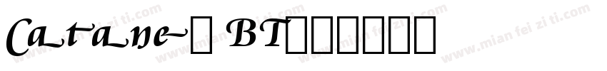 Cataneo BT字体转换
